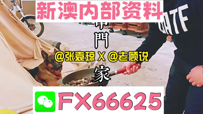 澳门与香港管家婆100%精准准确#全面解释落实与违法犯罪问题探